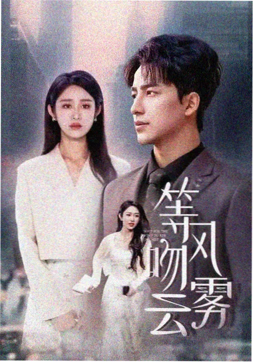 电视剧：沉默的证言