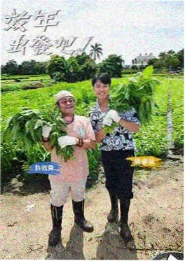 综艺：荒野厨房